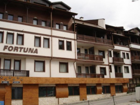 Cozy Fortuna Apartments 46